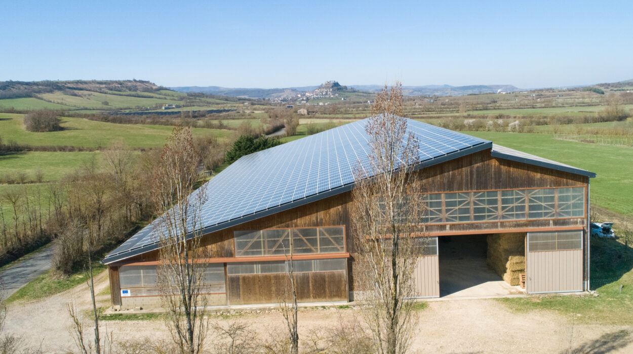 Cette image montre une centrale solaire suite à un repowering réalisé par Feedgy